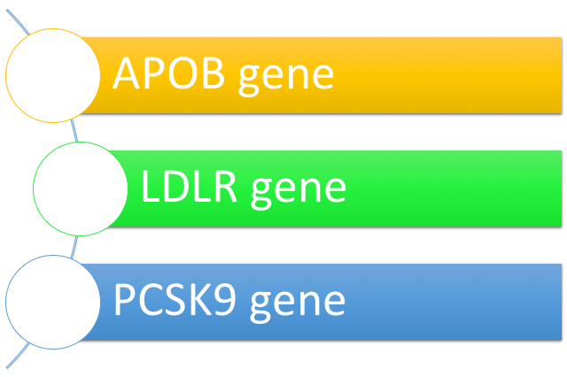 The most common genes associated with hypercholesterolemia high cholesterol 