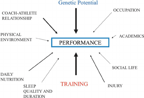 10 Genes That Can Control Your Sports Performance