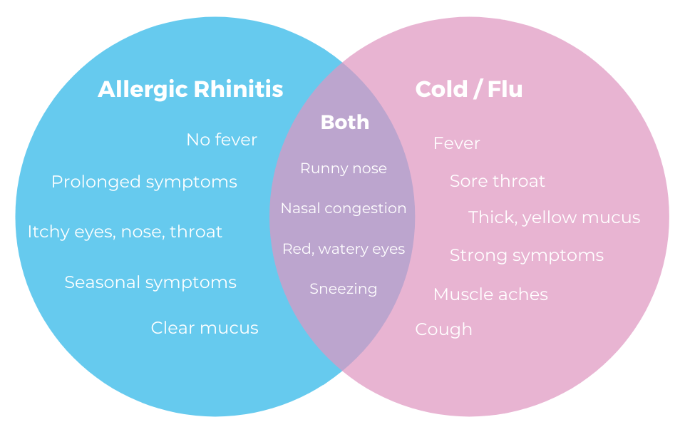 Similarities and differences between allergic rhinitis and flu