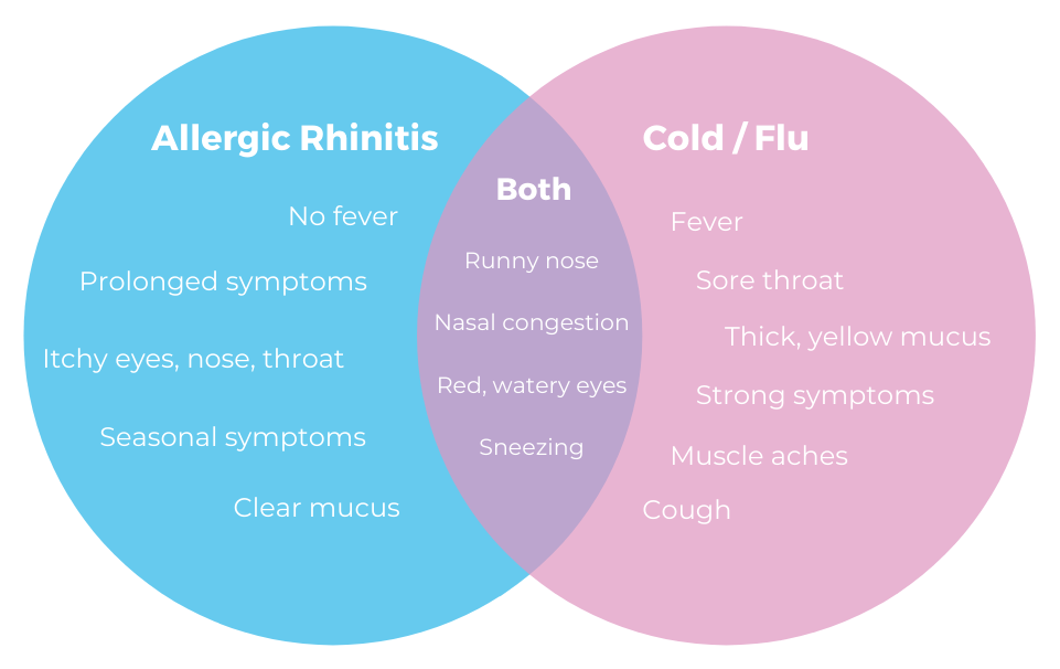 Common Cold Vs Allergic Rhinitis at Jacob Byrd blog