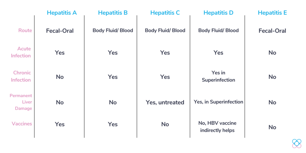 Hepatitis comparisons