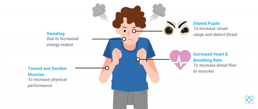 Fight Or Flight Response Examples