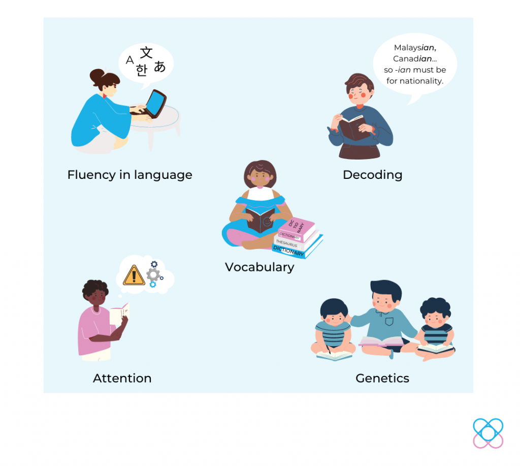 Reading ability factors