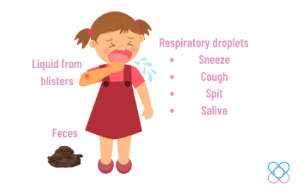 Ways HFMD is spread